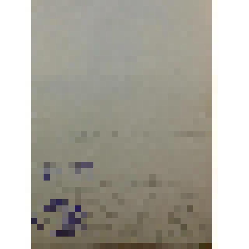 Фотокопия. Алексей Иванович Макшеев - учёный-географ, исследователь Средней Азии, писатель, педагог, военный деятель