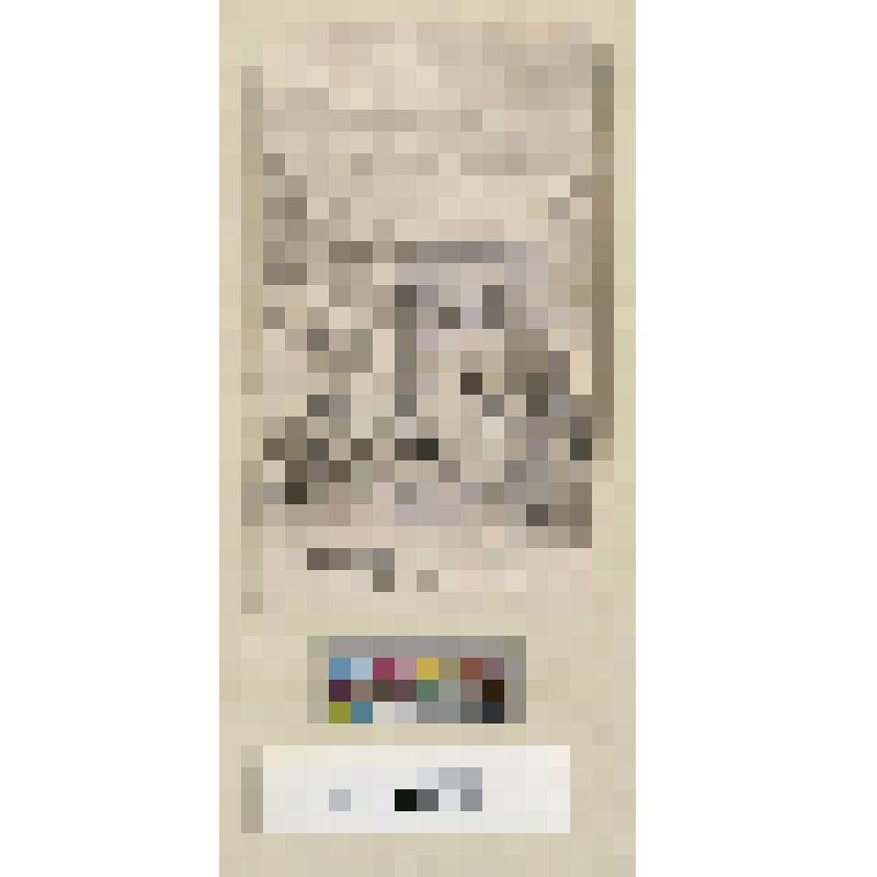 Историческая сцена. Вьезд короля в Париж 17 июля 1789 г