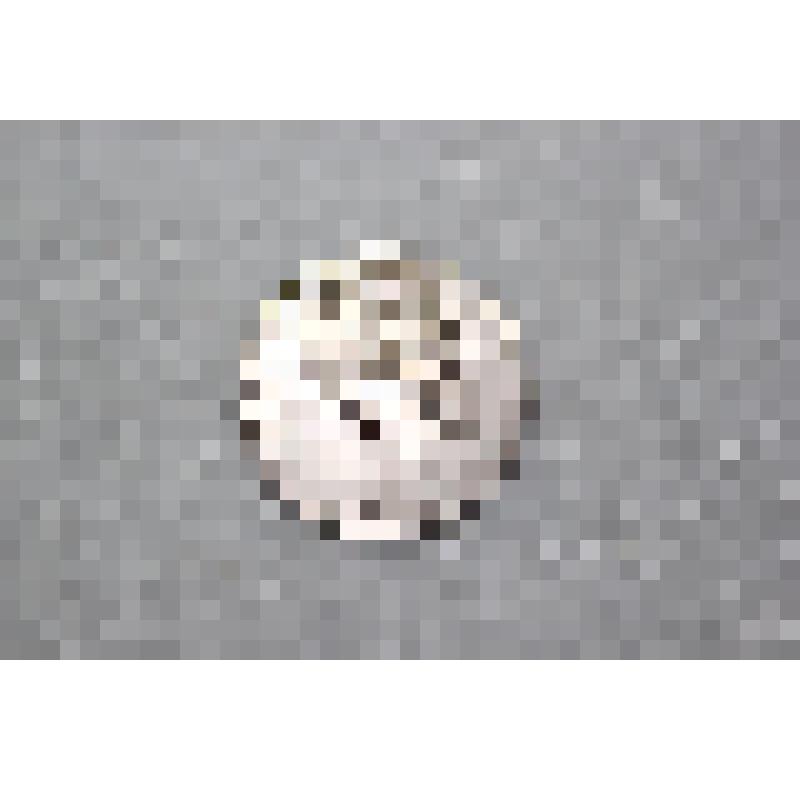 Монета 1 рубль