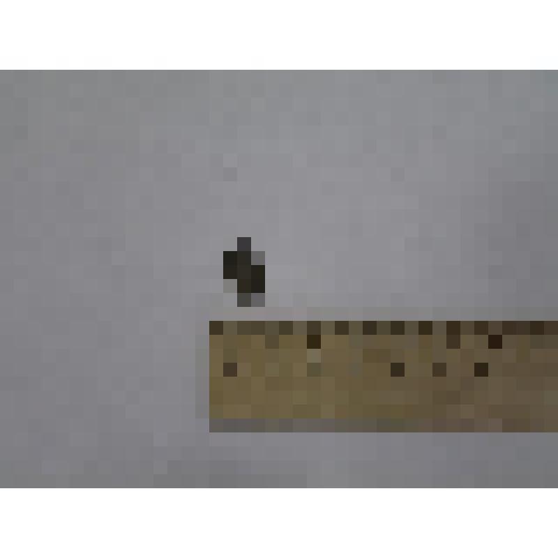 Монета. Из археологической коллекции Кадочниковский могильник (Кировская область, Уржумский район), Древнемарийская культура XV-XVII вв., городской раскоп 1990 г