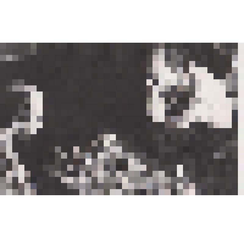 Фотография. Б.Ф. Французов за шахматами