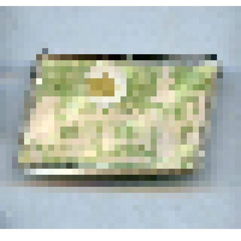 Значок из серии "Ленинград" с голограммой