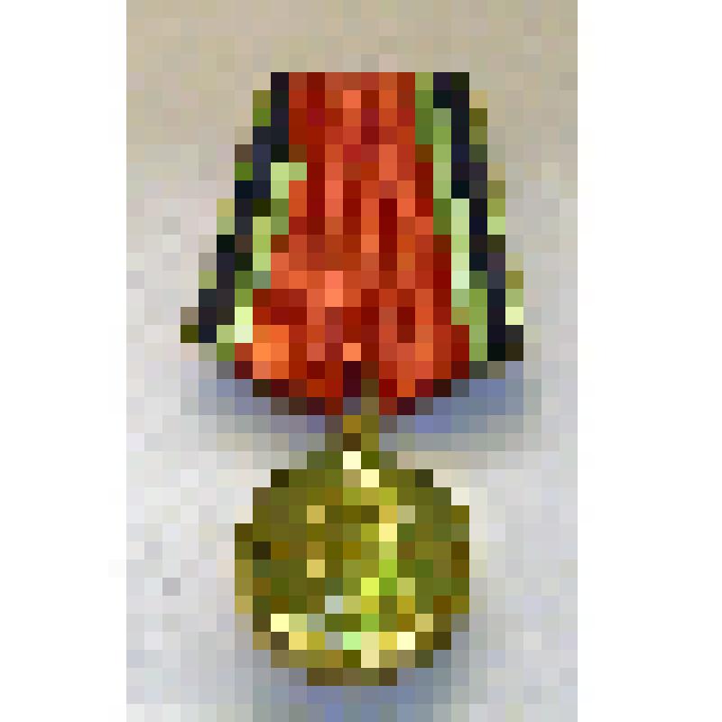 Медаль "20 лет Победы в Великой Отечественной Войне 1941-1945 г. г."