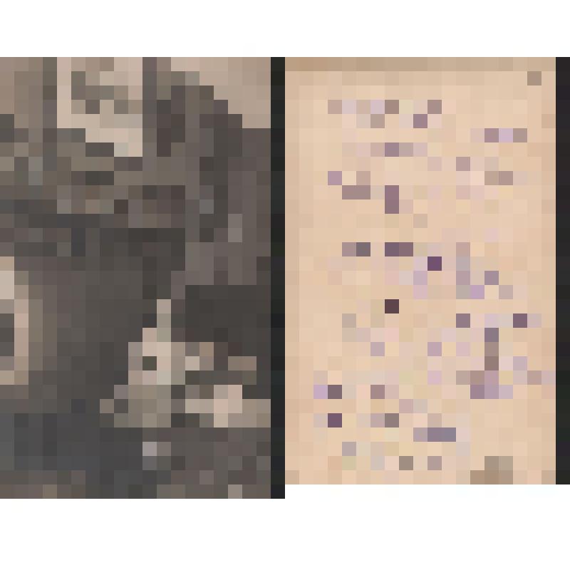 Фото. Валентина Ниловна Курбатова