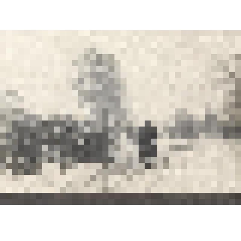 Л.Н.Толстой на прогулке в окрестностях Ясной Поляны