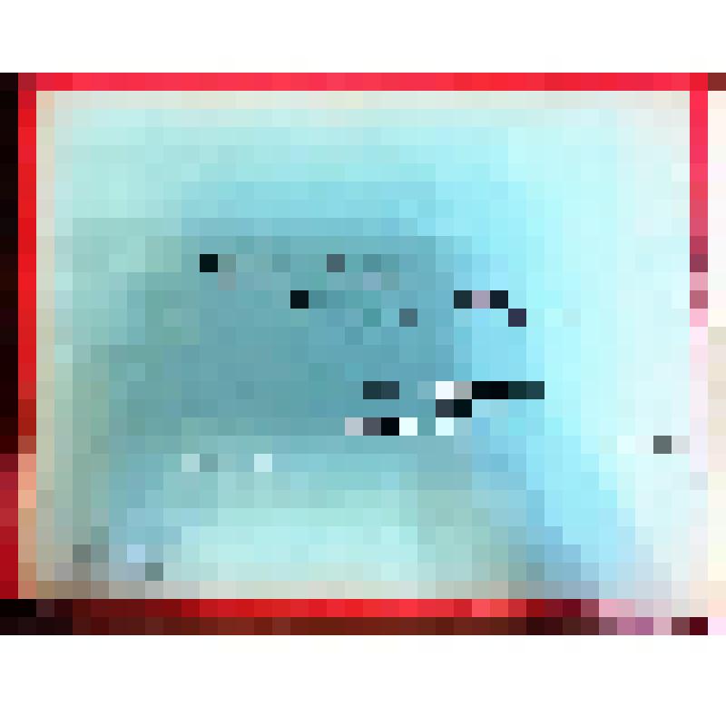 Фотоальбом. Фотоальбом Черниговской средней школы № 11 им. Н.А. Островского, 21 октября 1965г