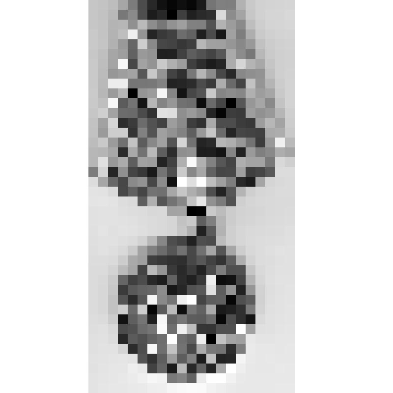 Медаль "За освоение целинных земель" Дашкова Э.И