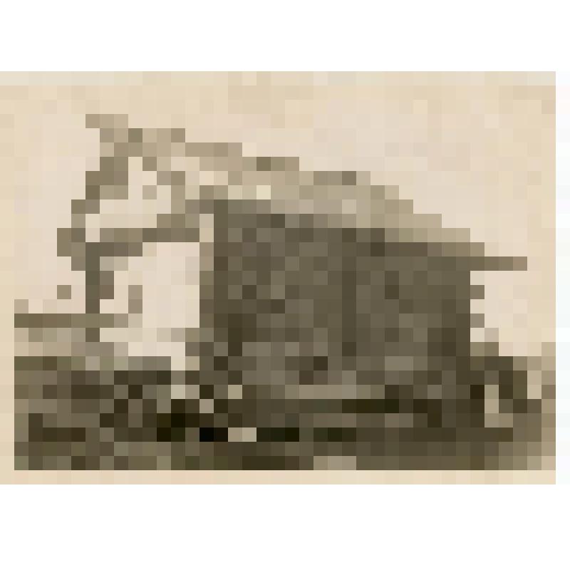 Фотография. Старинный амбар в д. Митрофаново.(общий вид бревенчатого строения, срубленного ''в обло'')