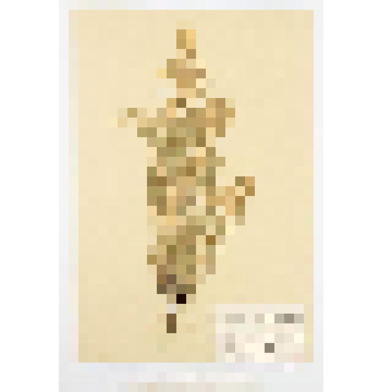 Гербарный экземпляр сосудистых растений. Остролодочник волосистый