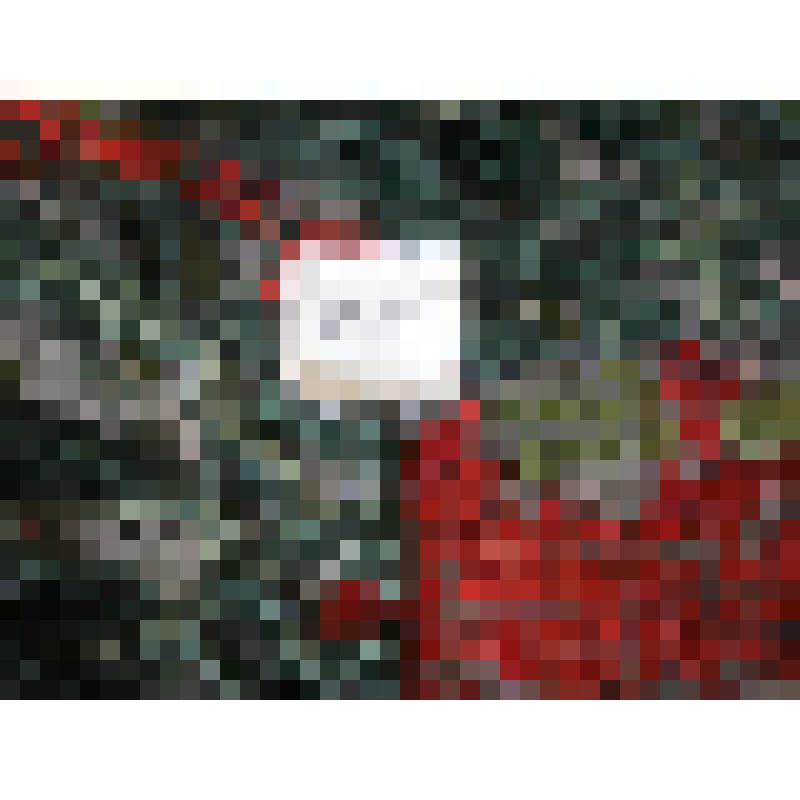 Скатерть филейная