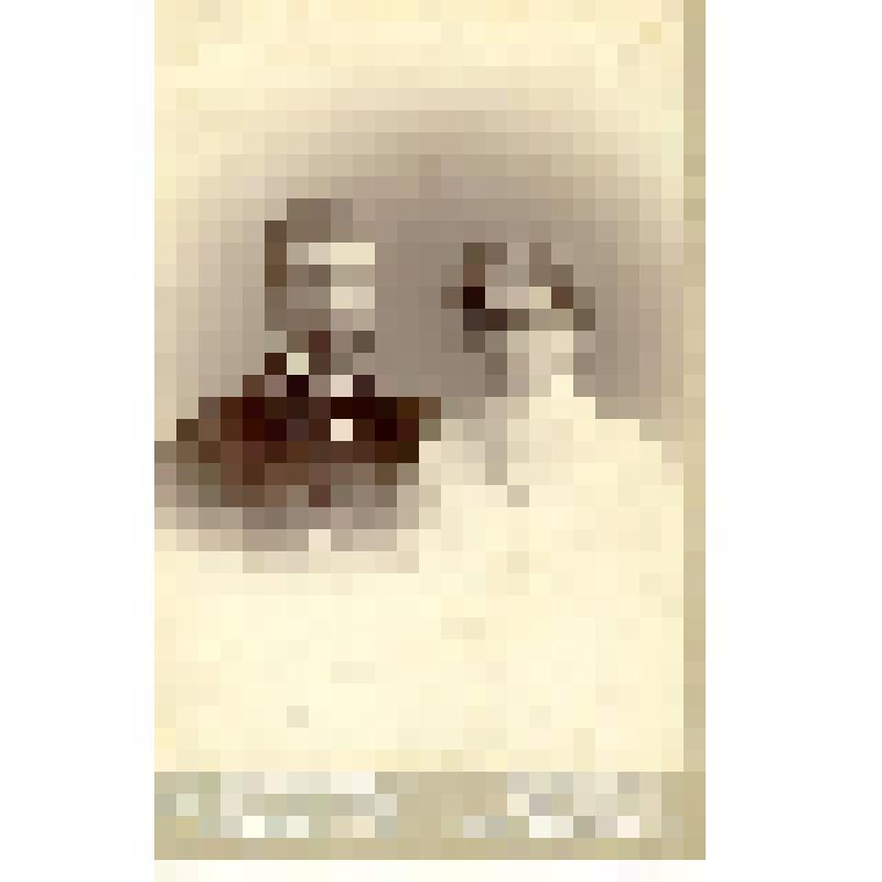 Фотография. Муж и жена, знакомые Чапиных