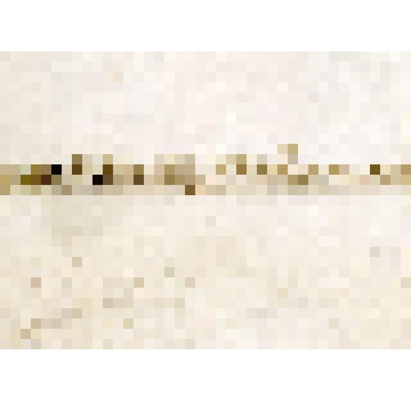 Фотография. Село Измайлово