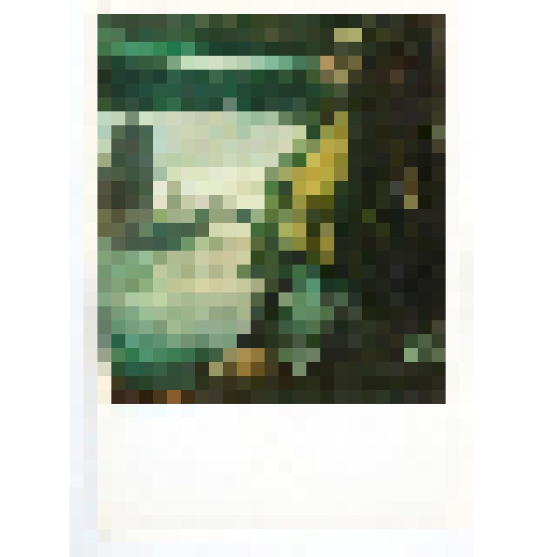 Комплект открыток. "BELGIAN PAINTING 20 th century " (Бельгийская живопись ХХ века)