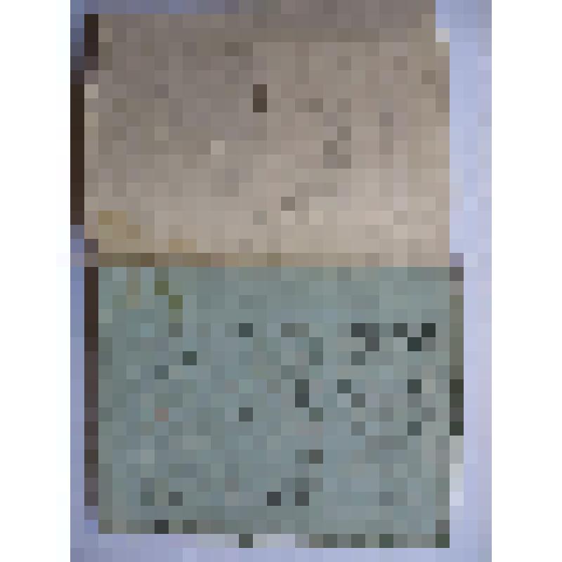 Житие кн. Петра и Февронии Муромских