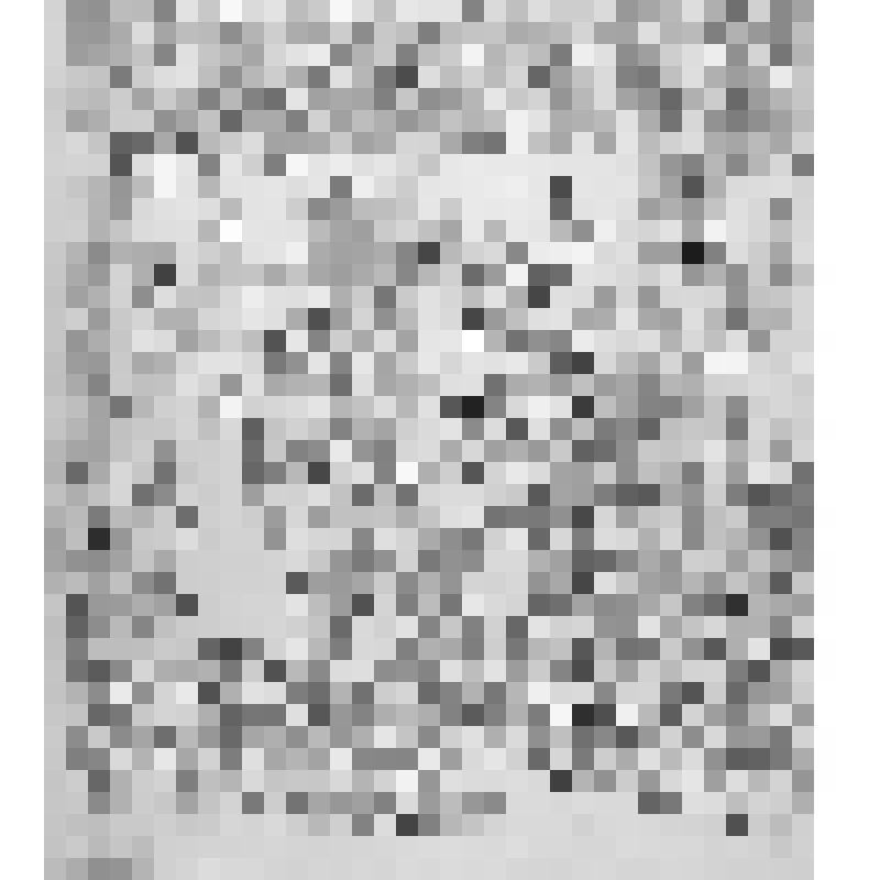 Уборка хмеля