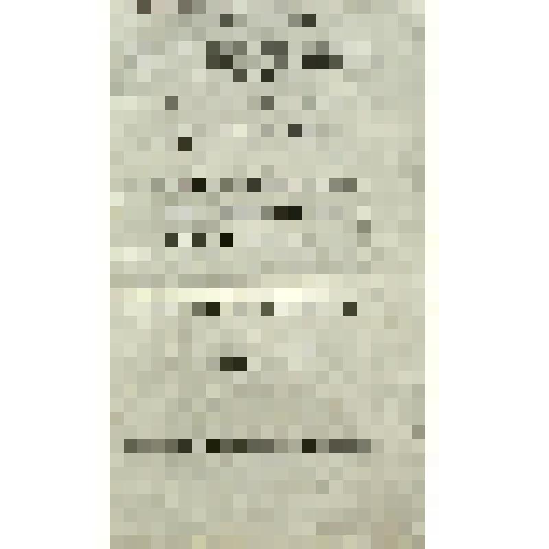 Книга. Часть II. Собрание поучительных слов, в разные времена проповедованных Святейшаго Правительствующаго Синода первенствующим членом Амвросием, митрополитом Новогородским и Санктпетербургским, Свято-Троицкия Александроневския лавры священно-архимандри