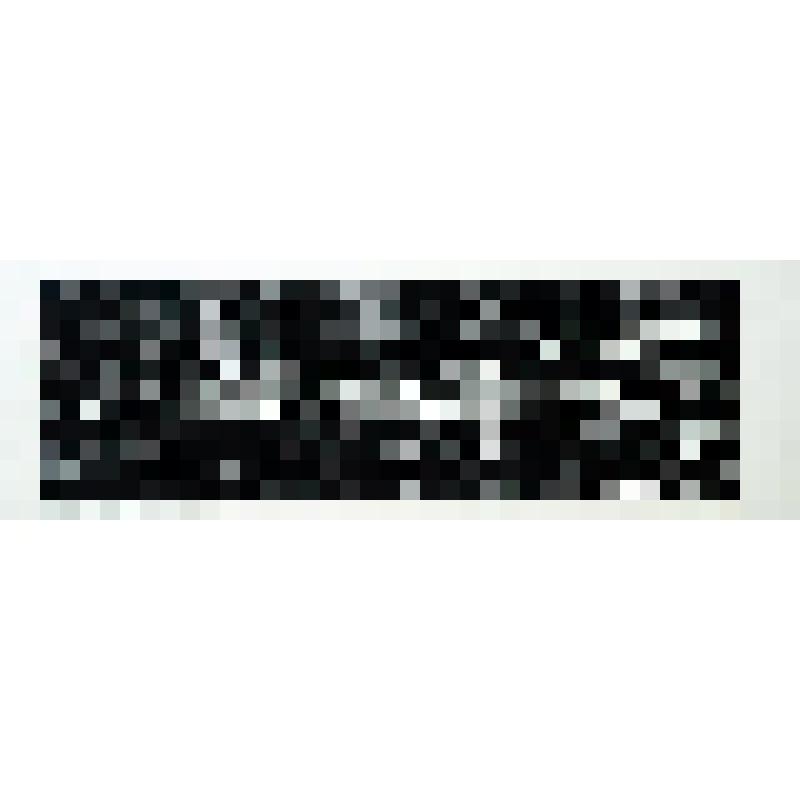 Рыболовецкий колхоз "Нева". Стрельна