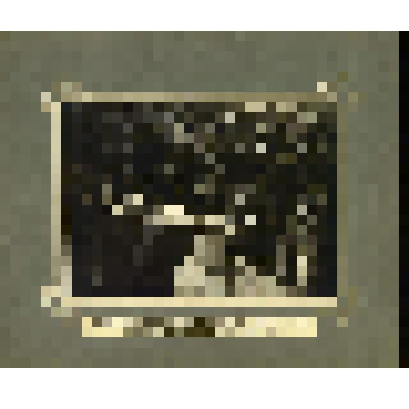 Фотография. Бахрушин А.А. на закладке здания больницы, сооружаемой в г. Зарайске на собственные средства