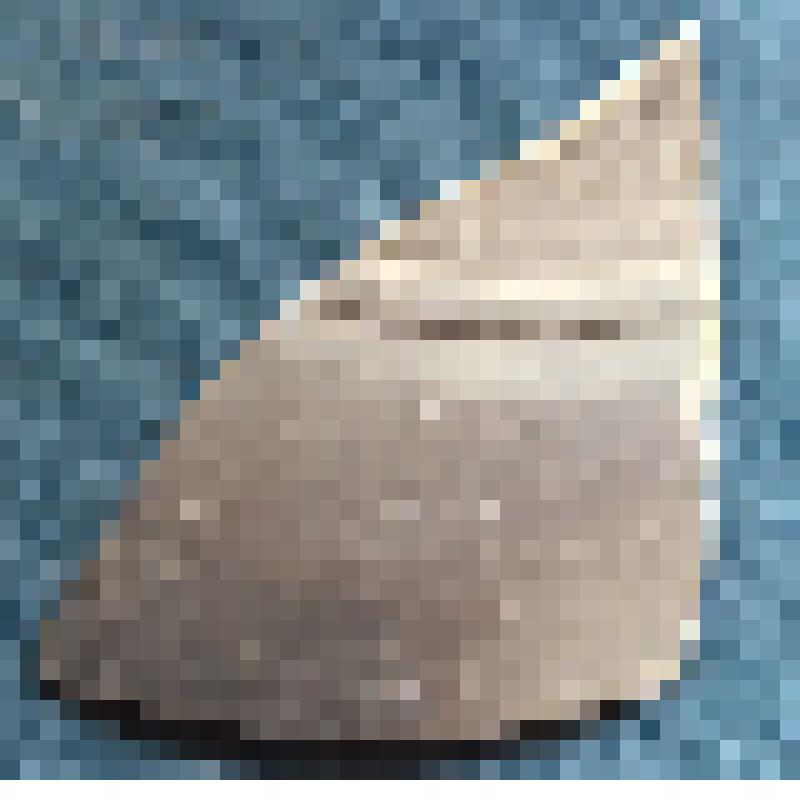 Фрагмент верхней части стенки станкового сосуда