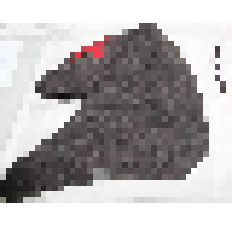 Предметы периода Гражданской войны. Будёновка времён Гражданской войны