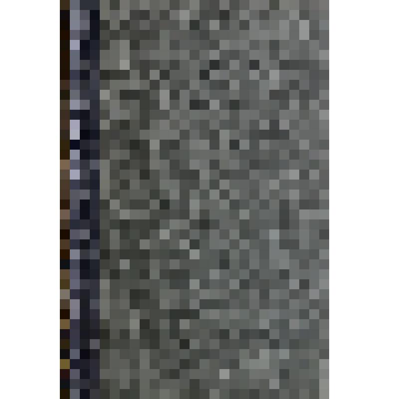 Книга. «Энциклопедический Словарь»
Начатый проф. И.Е. Андреевским, продолжается под редакцией К.К. Арсеньева и заслуженного профессора Ф.Ф. Петрушевского.
Том ХVII А  (34 полутом)  Лит. Ледье  – Лопаревъ.
Издатели: Ф.А. Брокгауз (Лейпциг), И.А. Ефрон (С.-