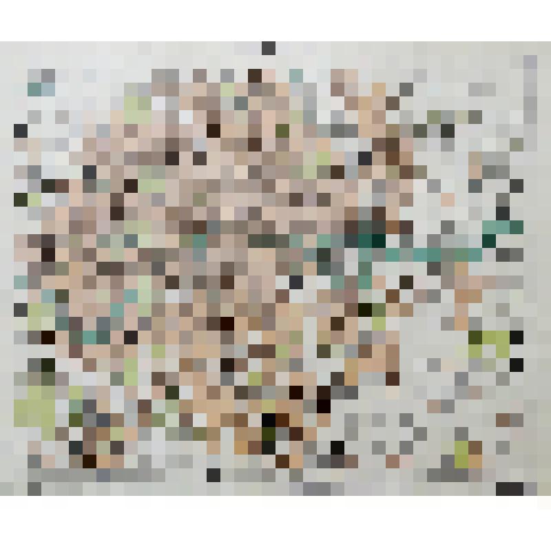 Книга. «Энциклопедический Словарь»
Начатый проф. И.Е. Андреевским, продолжается под редакцией К.К. Арсеньева и заслуженного профессора Ф.Ф. Петрушевского.
Том ХVII А  (34 полутом)  Лит. Ледье  – Лопаревъ.
Издатели: Ф.А. Брокгауз (Лейпциг), И.А. Ефрон (С.-