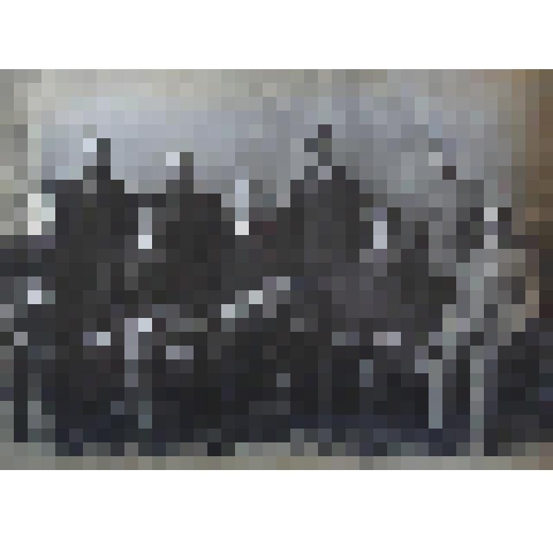 Фотография. Портрет групповой. Служащие почтового отделения Соликамской уездной земской управы