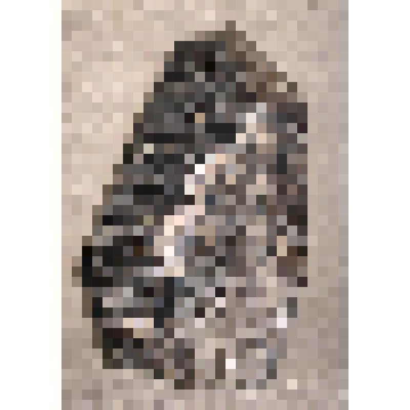 Морион