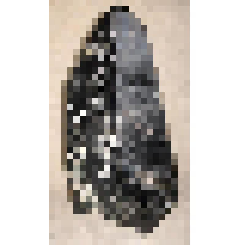 Морион
