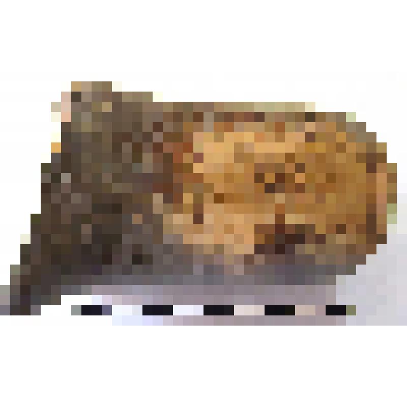 Клеймо на ручке родосской амфоры