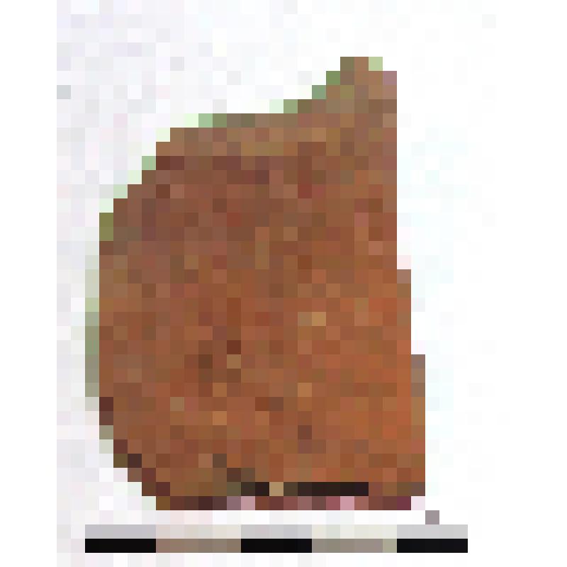 Фрагмент нижней части горла с частью плеча амфоры типа D с дипинто