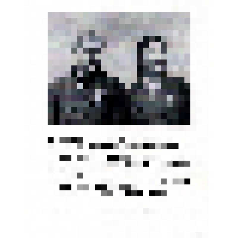 Издание Центрального музея советской армии. Юные патриоты. Виктор и Вера Снитко. "250 дней продолжалась героическая оборона Севастополя:"