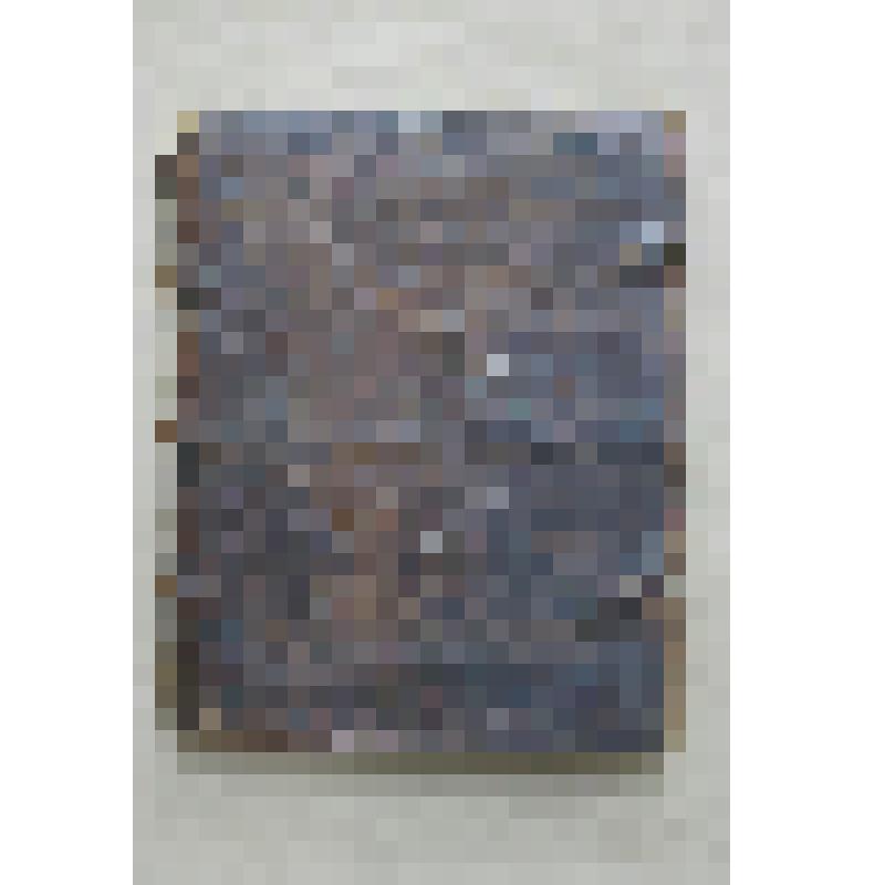 Книга рукописная. Житие патриарха Никона, Ивана Шушерина. XVIII в. (третья четв.)