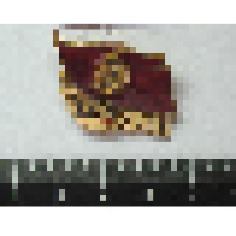 Знак делегата XXVIII съезда КПСС