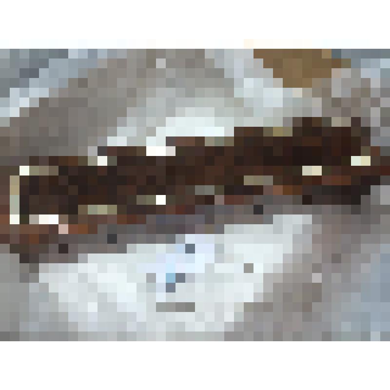 Футляр к вееру М. Тальони