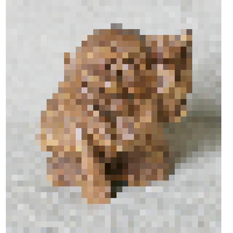 Скульптура "Дедушка Ась"