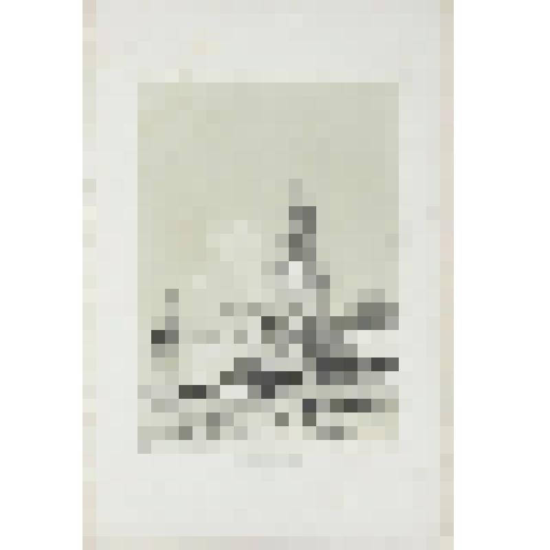 Литография. "Москва. Святые ворота. Центральный вход в Кремль."