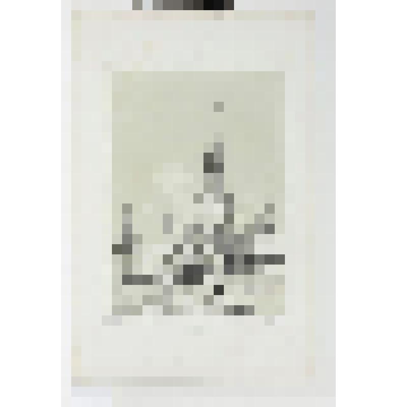 Литография. "Москва. Святые ворота. Центральный вход в Кремль."