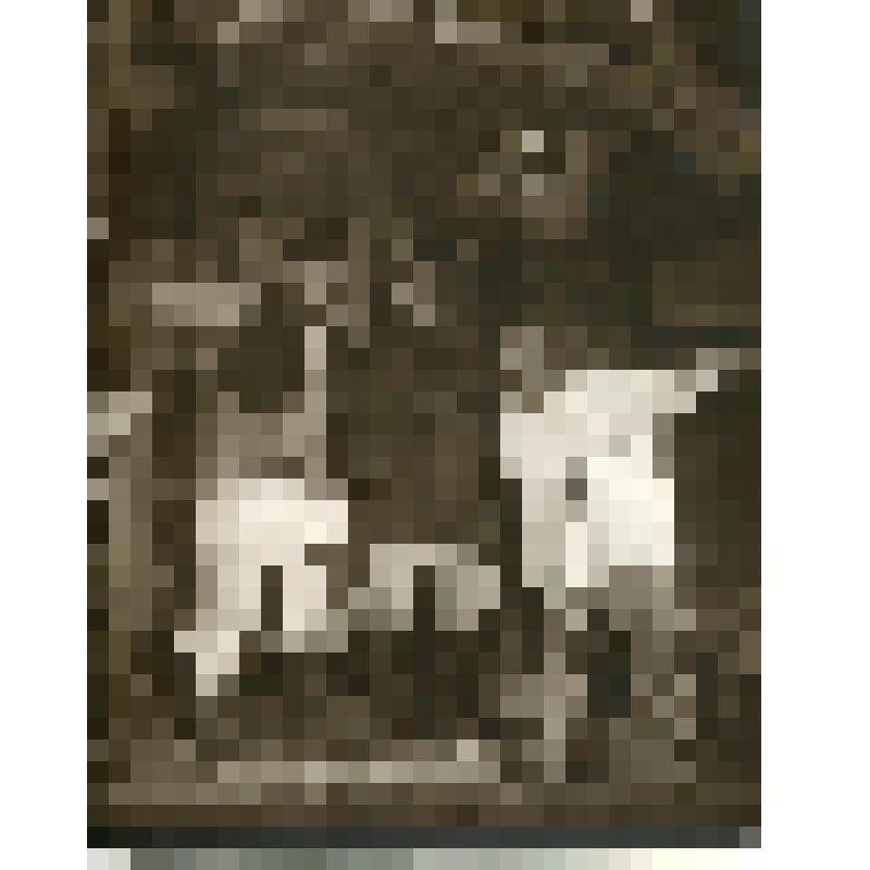 Фотография. На сцене трое стоят обнявшись, перед избой, поют. "Растеряева улица" (худ. А. Арапов.). Москва, Государственный академический Малый театр СССР