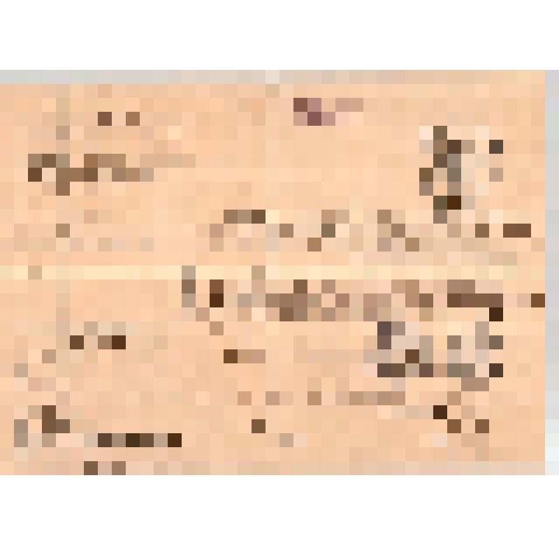 Паспорт № Н1 выдан 18 февраля 1917 г. Швейкину Б.Е