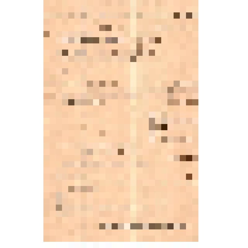 Паспорт № Н1 выдан 18 февраля 1917 г. Швейкину Б.Е