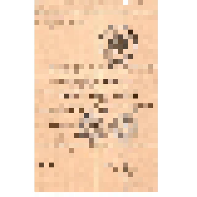 Паспорт № Н1 выдан 18 февраля 1917 г. Швейкину Б.Е