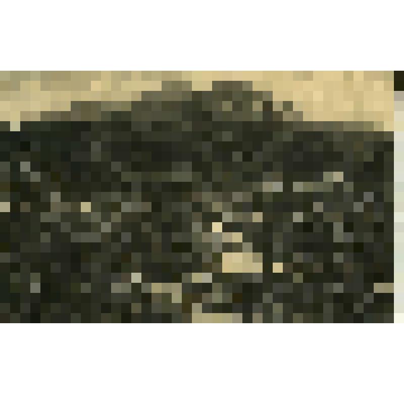 Открытка с видом г. Железноводска 1910 - 1916 г. Цветная печать. 1) гора Бештау от дворца эмира Бухарского