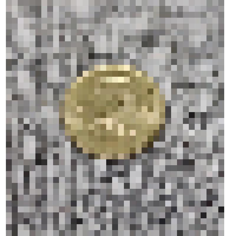 Монета достоинством 5 шекелей