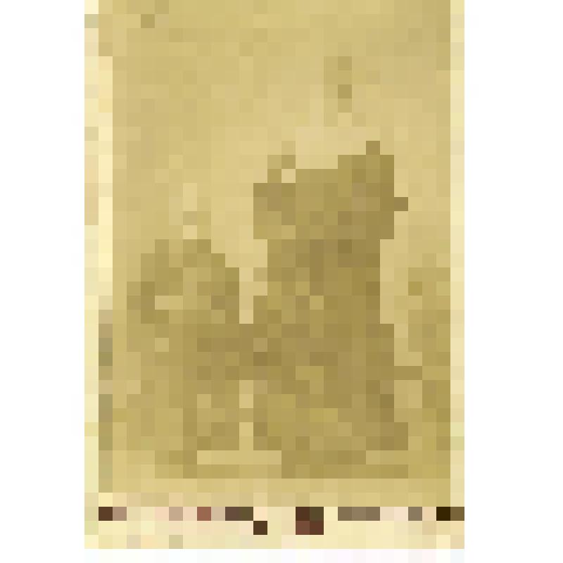 Фотопортрет. Борис Гамалей с братом Володей