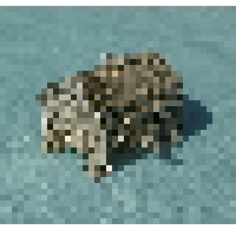 Ларчик
