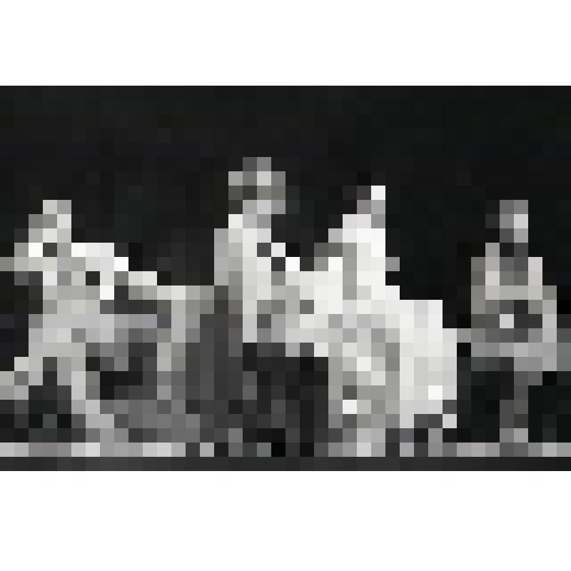 Негатив черно-белый. Войницкий - Мягков А.В.;  Елена Андреевна - Вертинская А.А.;  Соня - Якунина В.С.;  Астров - Борисов О.И. "Дядя Ваня" (1985)