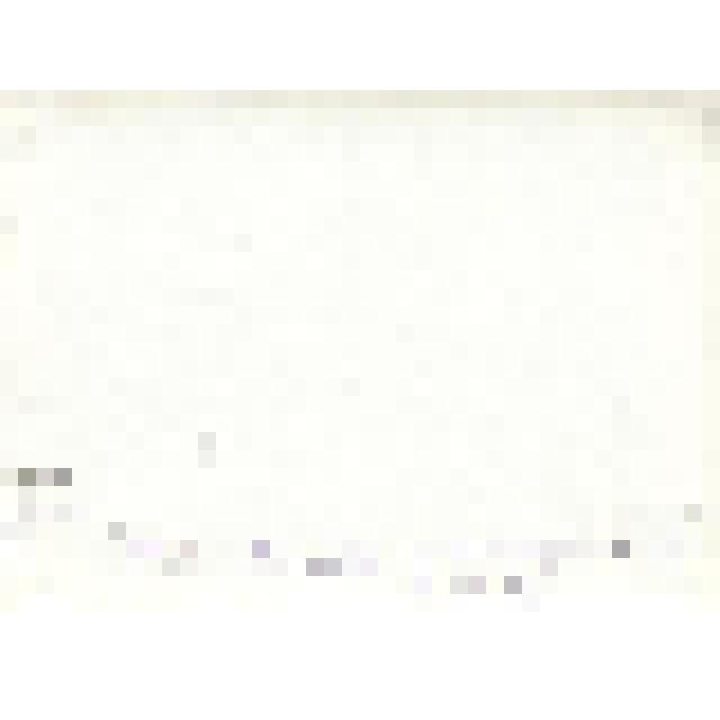 Фотография. Сюжетная. Празднование 40-летия Победы в п. Красная Яруга