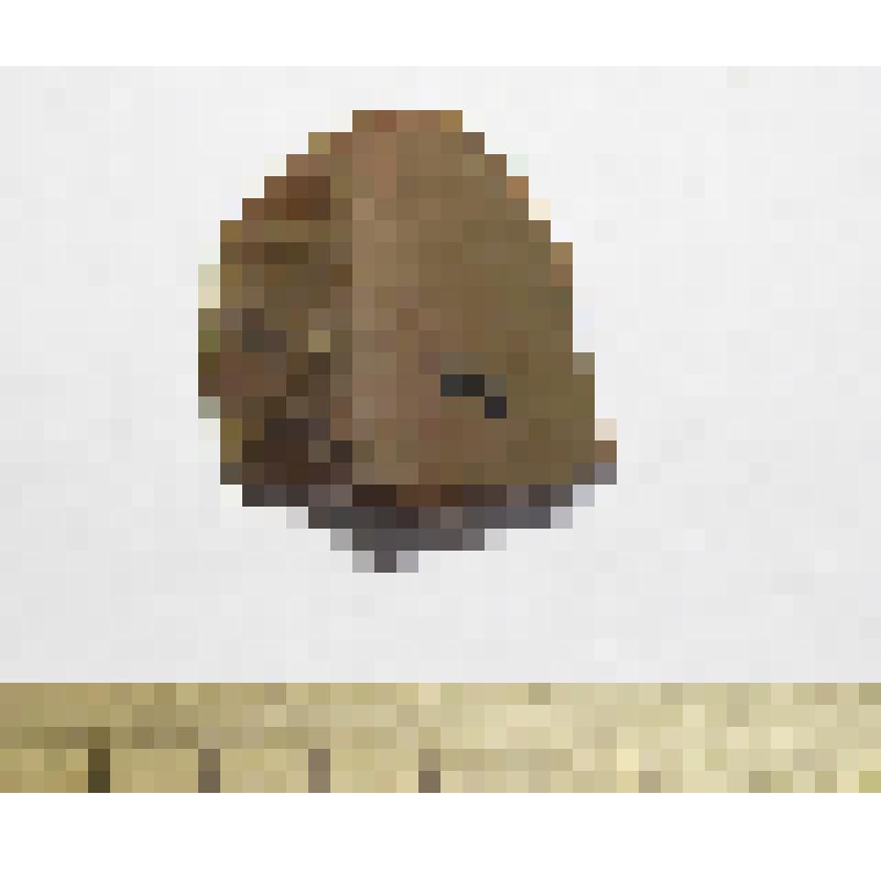 Скребок