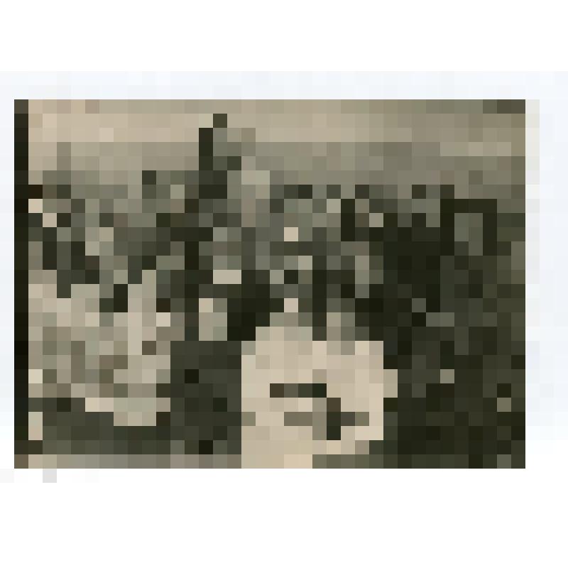 Фото групповое. Учащиеся Шаховской средней школы